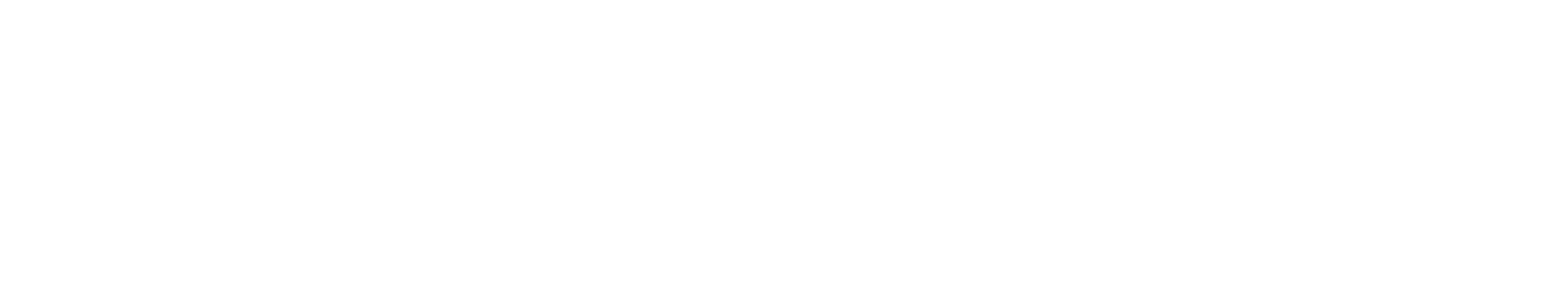 Flex Fitness Equipment logo